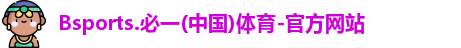 B体育官网